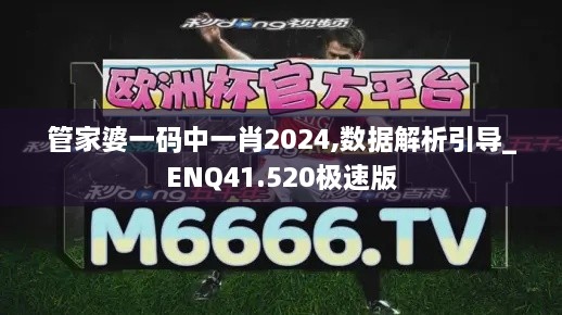 管家婆一码中一肖2024,数据解析引导_ENQ41.520极速版