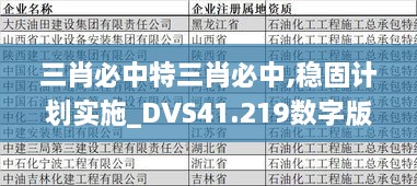 三肖必中特三肖必中,稳固计划实施_DVS41.219数字版