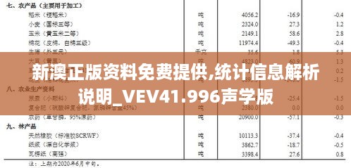 新澳正版资料免费提供,统计信息解析说明_VEV41.996声学版