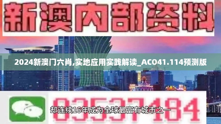 2024新澳门六肖,实地应用实践解读_ACO41.114预测版