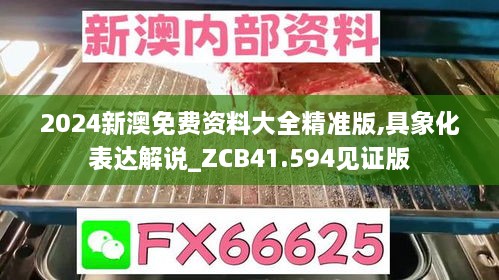 2024新澳免费资料大全精准版,具象化表达解说_ZCB41.594见证版