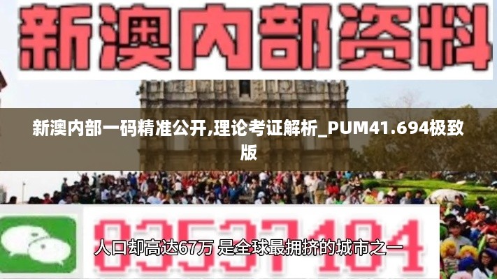 新澳内部一码精准公开,理论考证解析_PUM41.694极致版