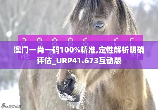 澳门一肖一码100%精准,定性解析明确评估_URP41.673互动版