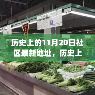 历史上的11月20日社区最新地址变迁及其影响