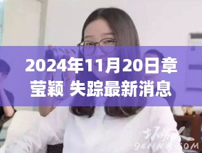 章莹颖失踪最新消息，深度解析与观点碰撞（2024年11月20日）