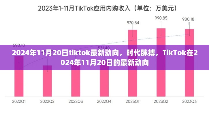 TikTok最新动向揭秘，2024年11月20日发展概览