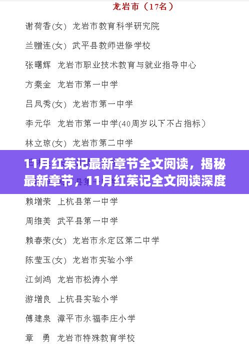 揭秘最新章节深度解析，11月红茱记全文阅读