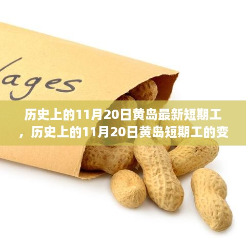 历史上的11月20日黄岛短期工变迁及其影响，深度解析与观点