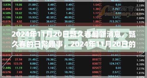 甄久春最新动态，日常趣事与温馨时光（2024年11月20日）