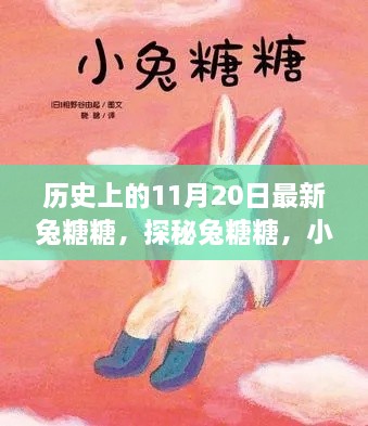 探秘兔糖糖，历史上的11月20日独特风味宝藏重现