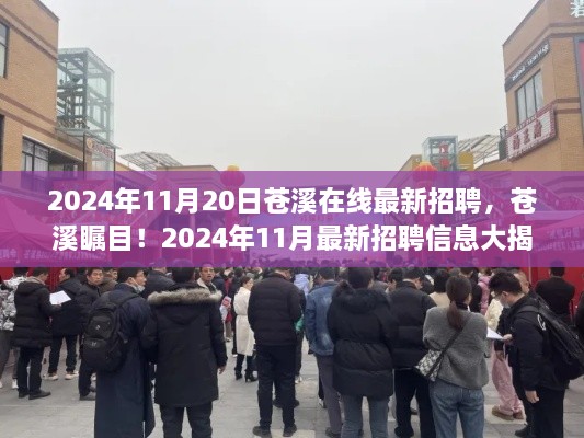 苍溪在线最新招聘揭秘，优质岗位等你来挑战，2024年11月招聘信息一览