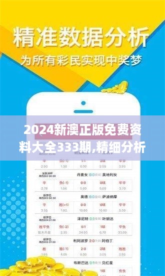 2024新澳正版免费资料大全333期,精细分析解答解释路径_GNJ9.14