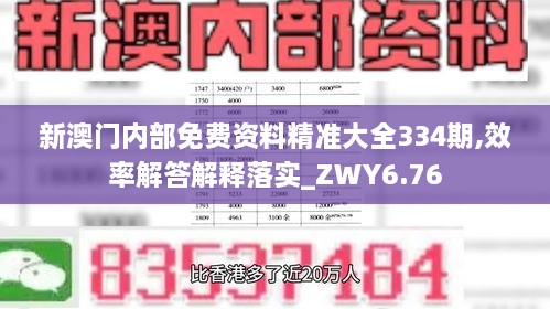 新澳门内部免费资料精准大全334期,效率解答解释落实_ZWY6.76