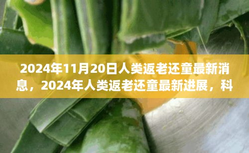 揭秘科技引领下的不老神话，人类返老还童最新进展与消息（2024年）