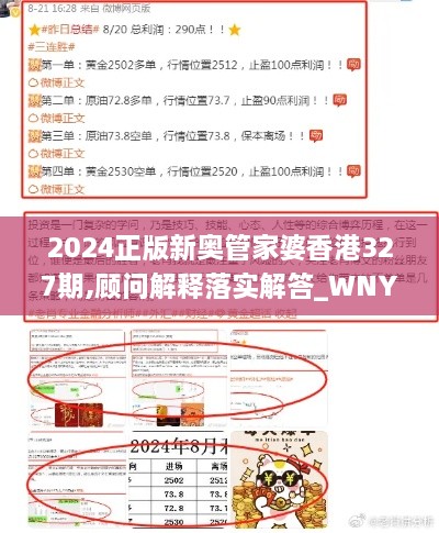 2024正版新奥管家婆香港327期,顾问解释落实解答_WNY1.33