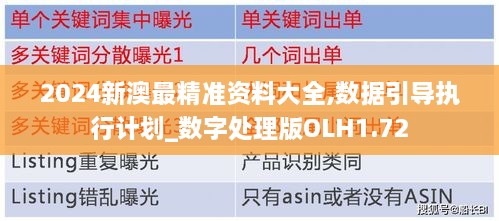 2024新澳最精准资料大全,数据引导执行计划_数字处理版OLH1.72