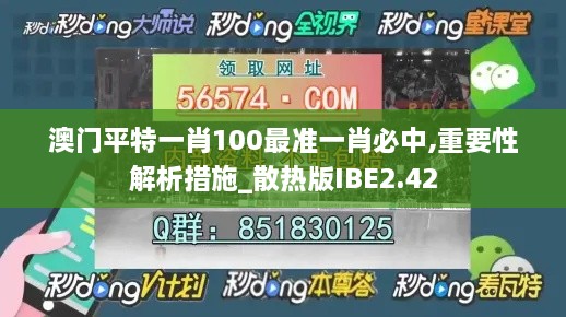 澳门平特一肖100最准一肖必中,重要性解析措施_散热版IBE2.42