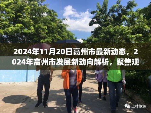 2024年高州市发展新动向解析，最新动态与观点之争