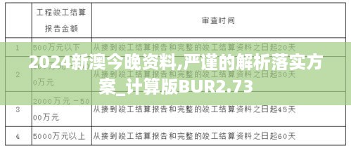 2024新澳今晚资料,严谨的解析落实方案_计算版BUR2.73