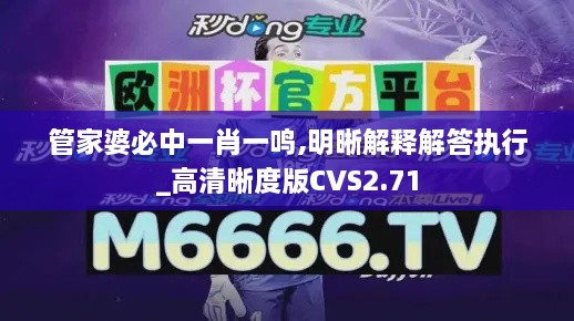 管家婆必中一肖一鸣,明晰解释解答执行_高清晰度版CVS2.71