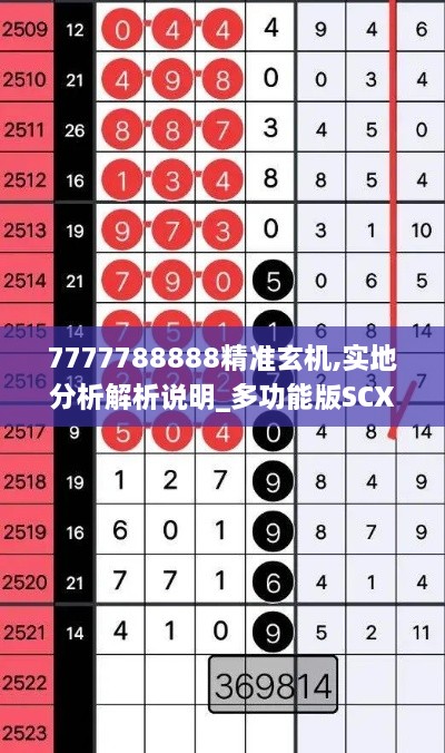 7777788888精准玄机,实地分析解析说明_多功能版SCX6.16