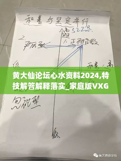 黄大仙论坛心水资料2024,特技解答解释落实_家庭版VXG2.24