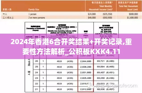 2024年香港6合开奖结果+开奖记录,重要性方法解析_公积板KXK4.11