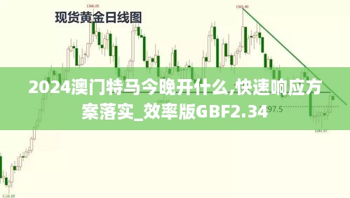 2024澳门特马今晚开什么,快速响应方案落实_效率版GBF2.34