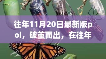 破茧而出，历年11月20日最新版POI启示下的学习变革力量