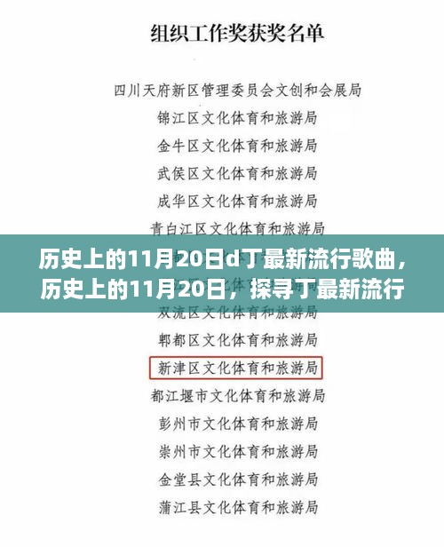 探寻丁最新流行歌曲，历史上的11月20日全面评测与介绍