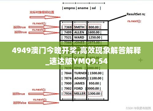 4949澳门今晚开奖,高效现象解答解释_速达版YMQ9.54