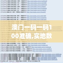 澳门一码一码100准确,实地数据方案评估_公积板RBJ2.76