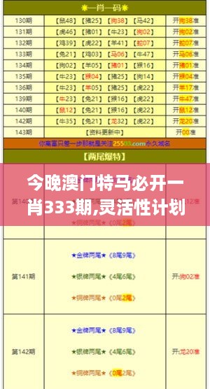 今晚澳门特马必开一肖333期,灵活性计划实施_JRB5.55