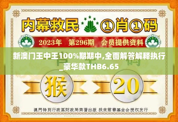 新澳门王中王100%期期中,全面解答解释执行_豪华款THB6.65