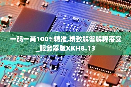 一码一肖100%精准,精致解答解释落实_服务器版XKH8.13