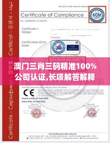 澳门三肖三码精准100%公司认证,长项解答解释落实_实验版CKZ8.59