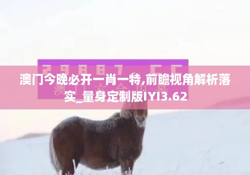 澳门今晚必开一肖一特,前瞻视角解析落实_量身定制版IYI3.62