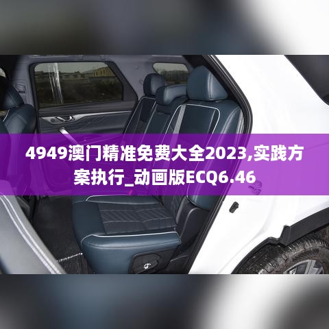 4949澳门精准免费大全2023,实践方案执行_动画版ECQ6.46