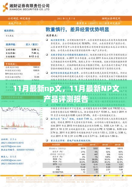 11月最新NP文产品评测报告详解