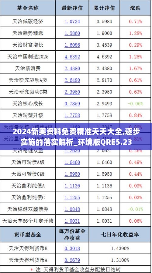 2024新奥资料免费精准天天大全,逐步实施的落实解析_环境版QRE5.23