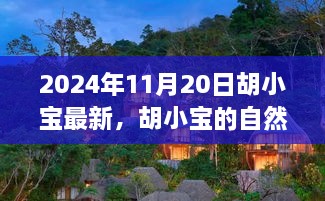 胡小宝的2024年自然探索之旅，寻找内心宁静与平和的旅程