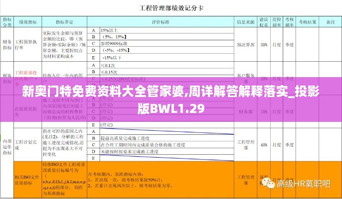 新奥门特免费资料大全管家婆,周详解答解释落实_投影版BWL1.29