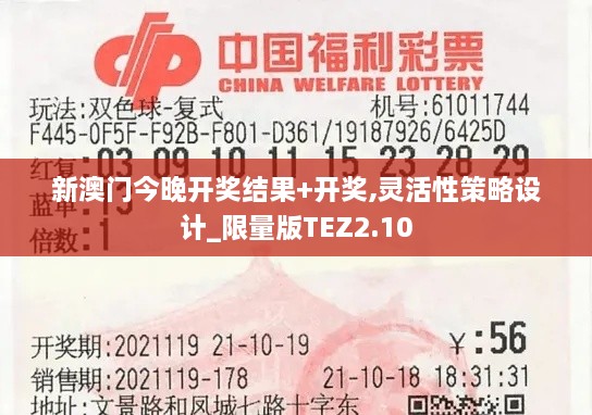 新澳门今晚开奖结果+开奖,灵活性策略设计_限量版TEZ2.10