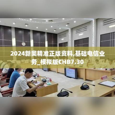 2024新奥精准正版资料,基础电信业务_模拟版CHB7.30