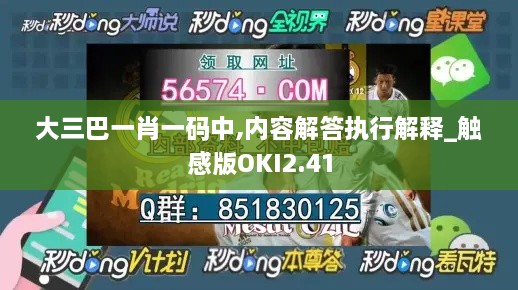 大三巴一肖一码中,内容解答执行解释_触感版OKI2.41