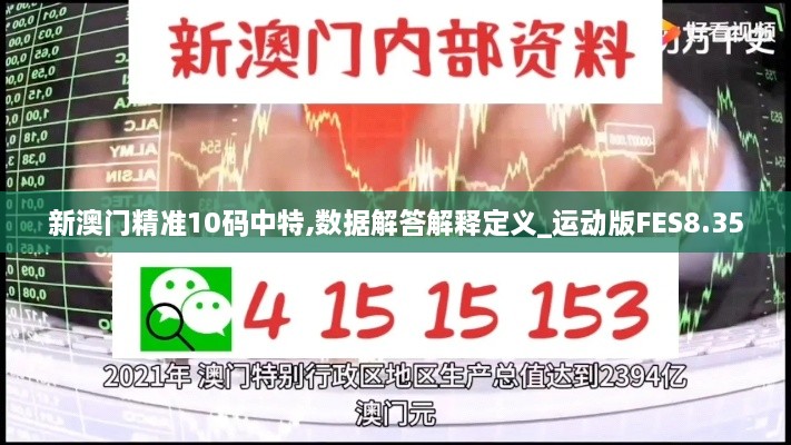 新澳门精准10码中特,数据解答解释定义_运动版FES8.35