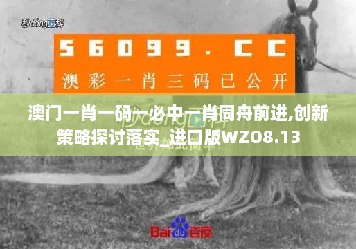 澳门一肖一码一必中一肖同舟前进,创新策略探讨落实_进口版WZO8.13