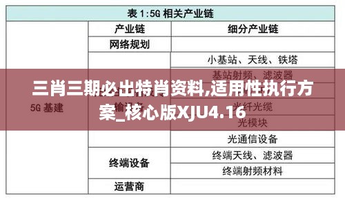 三肖三期必出特肖资料,适用性执行方案_核心版XJU4.16