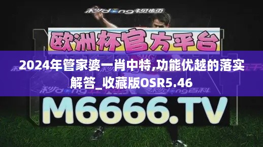 2024年管家婆一肖中特,功能优越的落实解答_收藏版OSR5.46