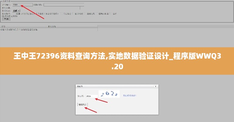王中王72396资料查询方法,实地数据验证设计_程序版WWQ3.20